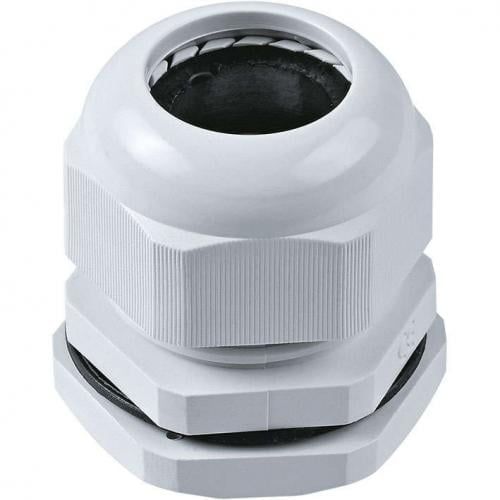 Изображение загружено из каталога картинок. //***VAD***//