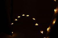 Изображение загружено из каталога картинок. //***VAD***//