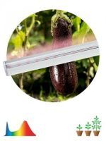 Изображение загружено из каталога картинок. //***VAD***//