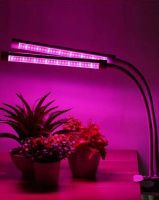 Изображение загружено из каталога картинок. //***VAD***//