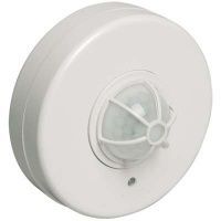 Изображение загружено из каталога картинок. //***VAD***//