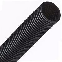 Изображение загружено из каталога картинок. //***VAD***//