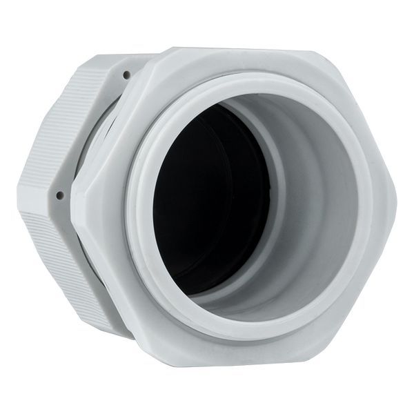 Сальник PG36 IP54 (20 шт) d отв. 46 мм / d провод. 22-32 мм EKF PROxima