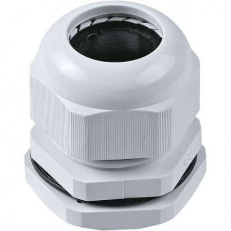 Изображение загружено из каталога картинок. //***VAD***//