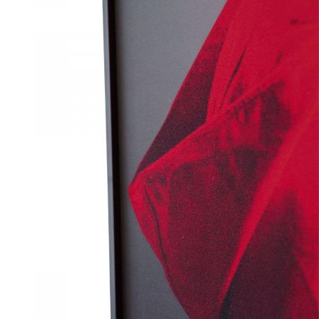 Картина Lumina Deco FP Red Hat 80-120