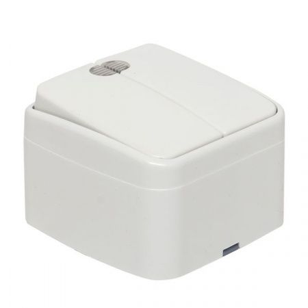 Минск Выключатель 2-клавишный ОП 10А с индикатором белый EKF Basic