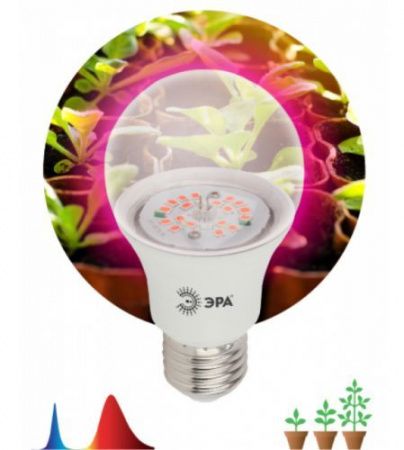 Изображение загружено из каталога картинок. //***VAD***//